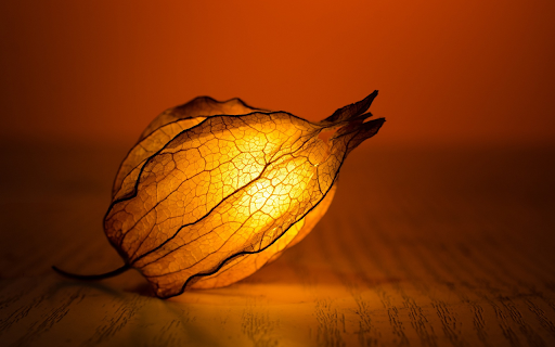 Glowing fruit  from Chrome web store to be run with OffiDocs Chromium online