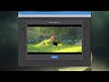 Gmail Mod  from Chrome web store to be run with OffiDocs Chromium online