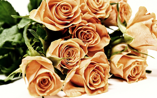 Golden brown roses  from Chrome web store to be run with OffiDocs Chromium online