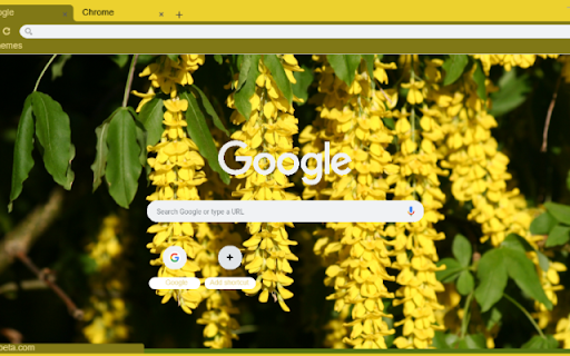 Golden Chain Tree  from Chrome web store to be run with OffiDocs Chromium online