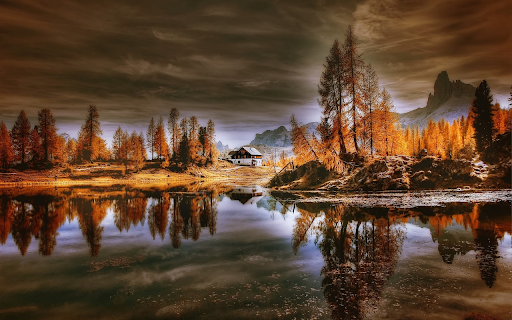 Golden forest with black clouds  from Chrome web store to be run with OffiDocs Chromium online