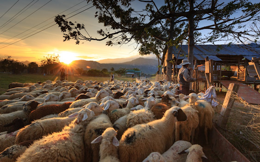 Golden Pastoral Sunset Theme  from Chrome web store to be run with OffiDocs Chromium online