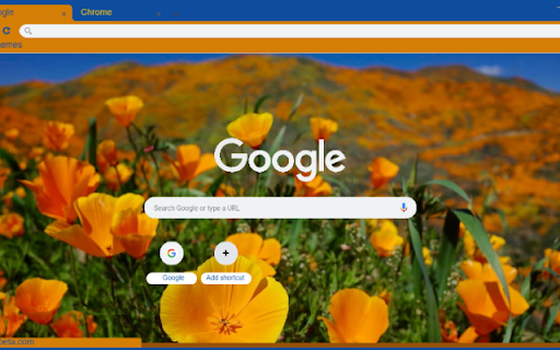 Golden Poppy  from Chrome web store to be run with OffiDocs Chromium online