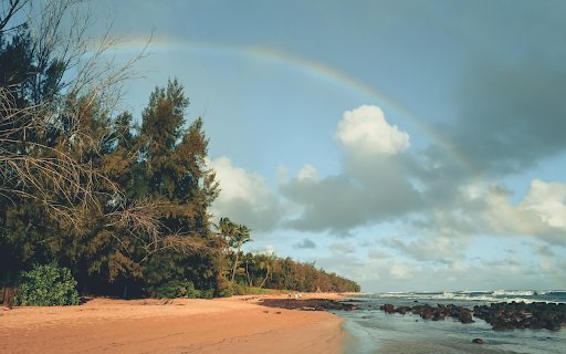 Golden Sand Beach  from Chrome web store to be run with OffiDocs Chromium online