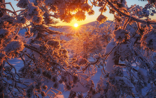 Golden Sunrise Over Snowy Landscape  from Chrome web store to be run with OffiDocs Chromium online