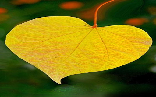 Gold leaf heart wallpaper  from Chrome web store to be run with OffiDocs Chromium online