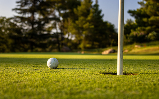 Golf ball on grass and sunshine  from Chrome web store to be run with OffiDocs Chromium online