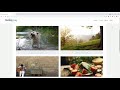 Go Micro  from Chrome web store to be run with OffiDocs Chromium online