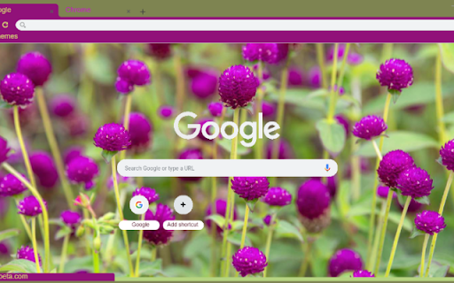 Gomphrena  from Chrome web store to be run with OffiDocs Chromium online