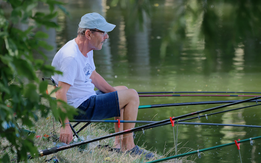 Good fishing rods  from Chrome web store to be run with OffiDocs Chromium online