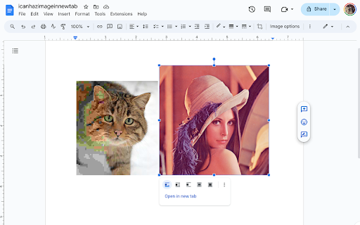 Google Docs Image Opener Extension  from Chrome web store to be run with OffiDocs Chromium online