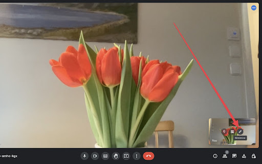 Google Meet Auto Minimize Camera  from Chrome web store to be run with OffiDocs Chromium online
