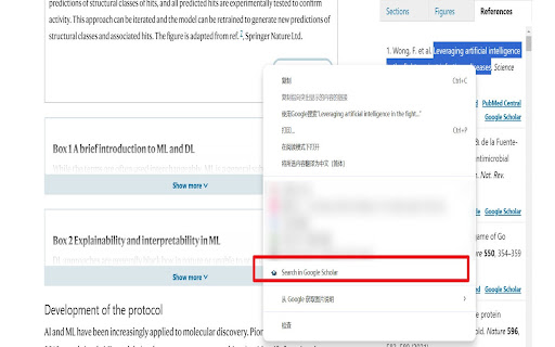 Google Scholar Search  from Chrome web store to be run with OffiDocs Chromium online