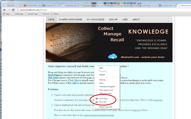 Grab Page  from Chrome web store to be run with OffiDocs Chromium online