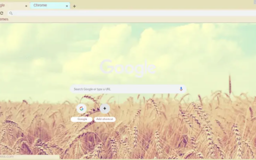 grain  from Chrome web store to be run with OffiDocs Chromium online