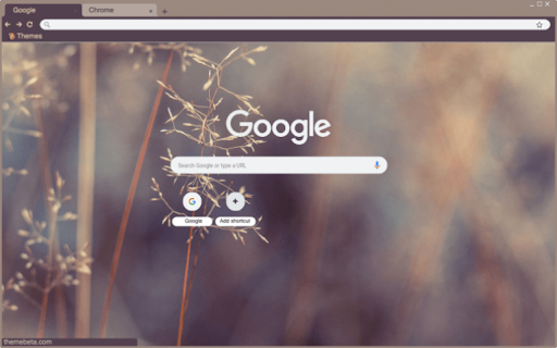Grains  from Chrome web store to be run with OffiDocs Chromium online