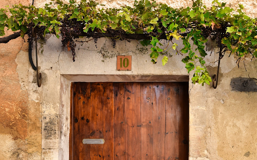 Grape trellis in front of the door  from Chrome web store to be run with OffiDocs Chromium online