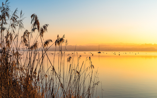 Grass and Sunset  from Chrome web store to be run with OffiDocs Chromium online