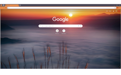 Grasses Facing Fogs during Golden Hours  from Chrome web store to be run with OffiDocs Chromium online