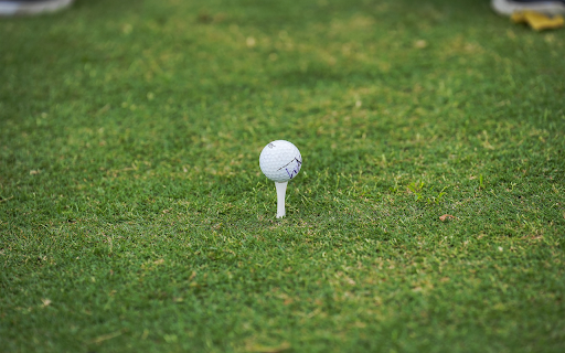 Grass field and ball  from Chrome web store to be run with OffiDocs Chromium online