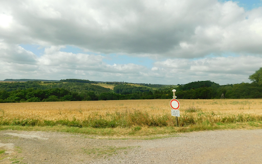 Grass fields and green trees  from Chrome web store to be run with OffiDocs Chromium online