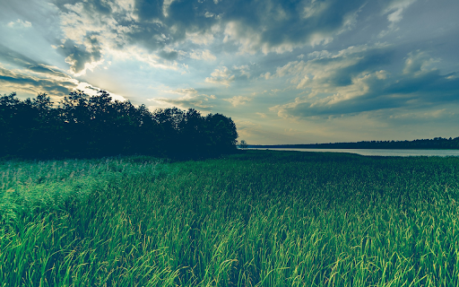 Grassland in the late afternoon  from Chrome web store to be run with OffiDocs Chromium online