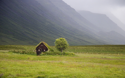 Grass tent  from Chrome web store to be run with OffiDocs Chromium online