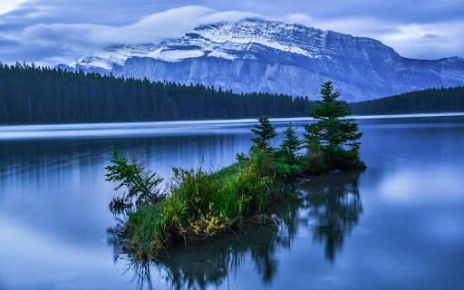 Grassy hill in the middle of the lake from Chrome web store to be run with OffiDocs Chromium online Grassy hill in the middle of the lake from Chrome web store to be run with OffiDocs Chromium online