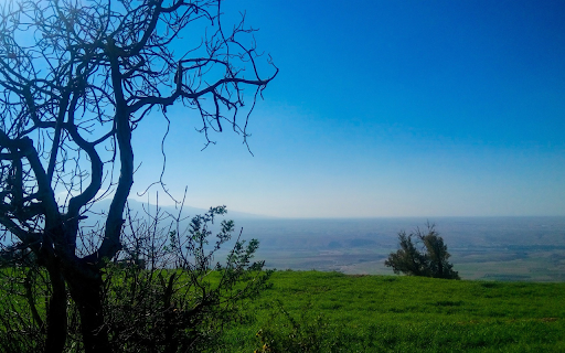 Grassy hills and fog  from Chrome web store to be run with OffiDocs Chromium online