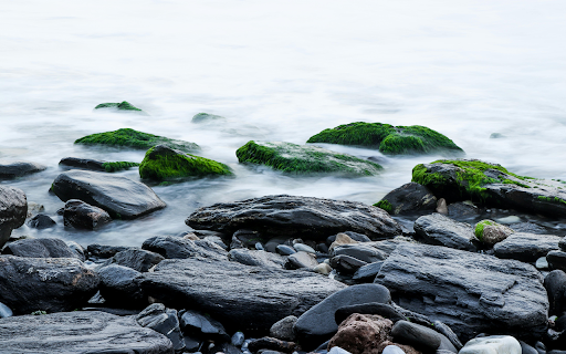 Gray Rocks With Moss  from Chrome web store to be run with OffiDocs Chromium online