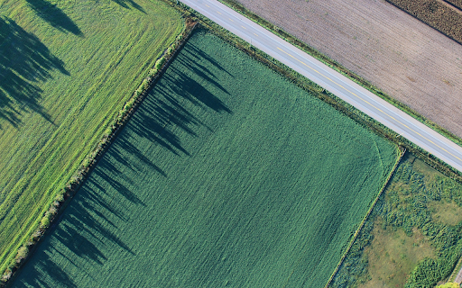 Green agriculture  from Chrome web store to be run with OffiDocs Chromium online