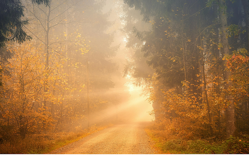 Green and Brown Trees Near Road  from Chrome web store to be run with OffiDocs Chromium online