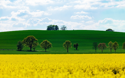 green and yellow  from Chrome web store to be run with OffiDocs Chromium online
