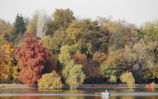Green boat  from Chrome web store to be run with OffiDocs Chromium online