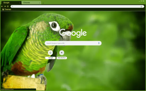 Green Cheek Conure from Chrome web store to be run with OffiDocs Chromium online Green Cheek Conure from Chrome web store to be run with OffiDocs Chromium online