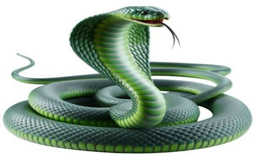 green cobra wallpaper  from Chrome web store to be run with OffiDocs Chromium online