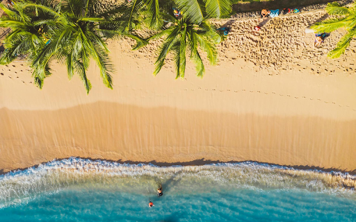 Green Coconut and the Sea  from Chrome web store to be run with OffiDocs Chromium online