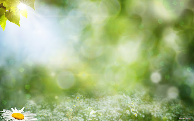Greenery  from Chrome web store to be run with OffiDocs Chromium online