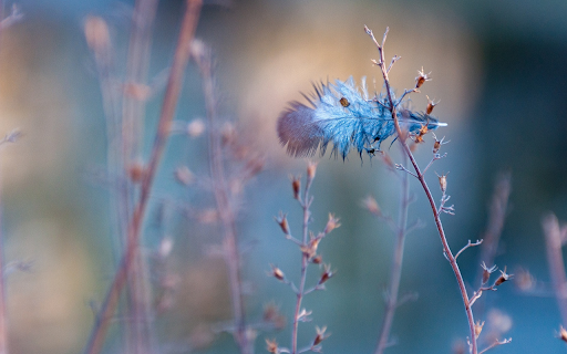 Green feather clinging to the grass  from Chrome web store to be run with OffiDocs Chromium online