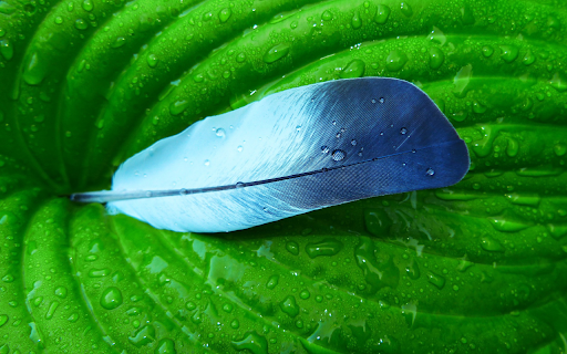 Green feathers  from Chrome web store to be run with OffiDocs Chromium online