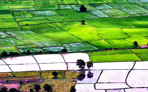 Green field  from Chrome web store to be run with OffiDocs Chromium online
