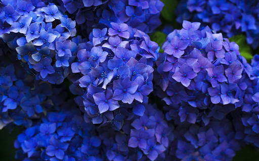 Green flower tree  from Chrome web store to be run with OffiDocs Chromium online