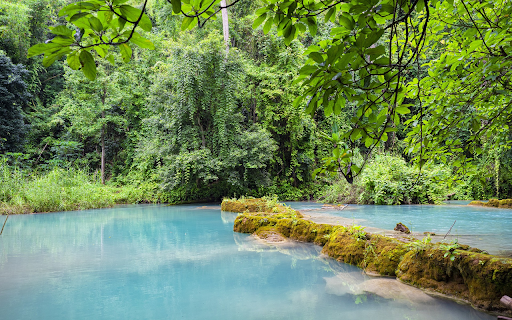 green forest and stream  from Chrome web store to be run with OffiDocs Chromium online