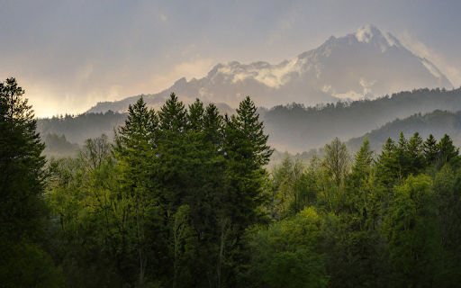 Green Forest and Valley  from Chrome web store to be run with OffiDocs Chromium online