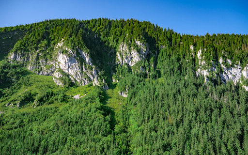 Green forest green mountain  from Chrome web store to be run with OffiDocs Chromium online