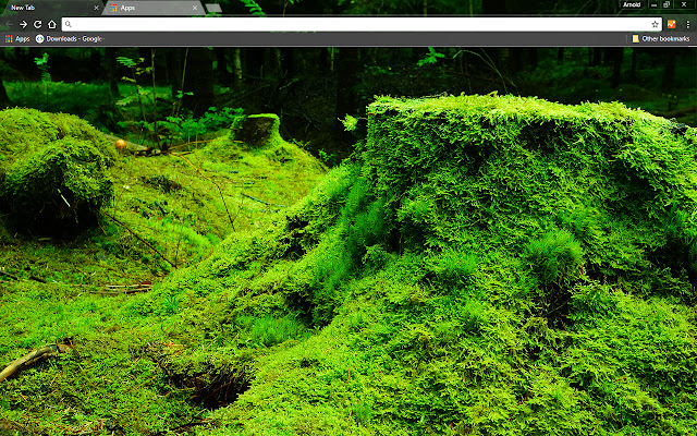 Green Forestry aus dem Chrome Web Store soll mit OffiDocs Chromium online betrieben werden