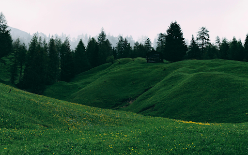 Green Grass Field and Trees  from Chrome web store to be run with OffiDocs Chromium online