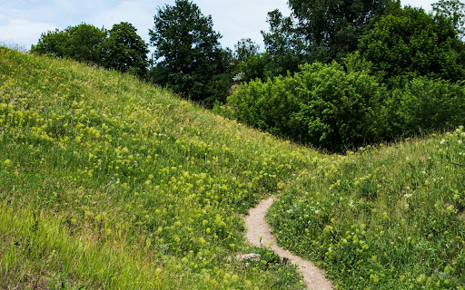 Green Grass Hill  from Chrome web store to be run with OffiDocs Chromium online