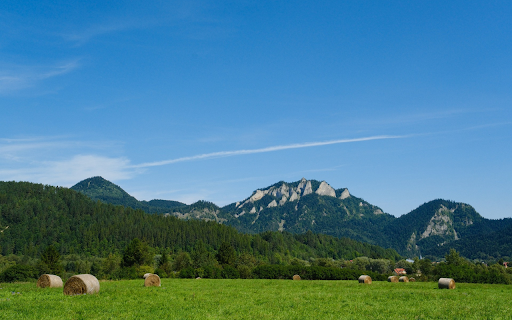 Green Grassland  from Chrome web store to be run with OffiDocs Chromium online
