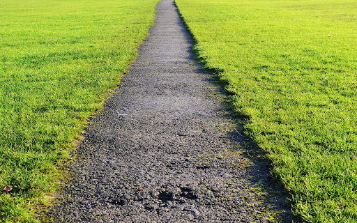 Green grass on both sides of the road  from Chrome web store to be run with OffiDocs Chromium online